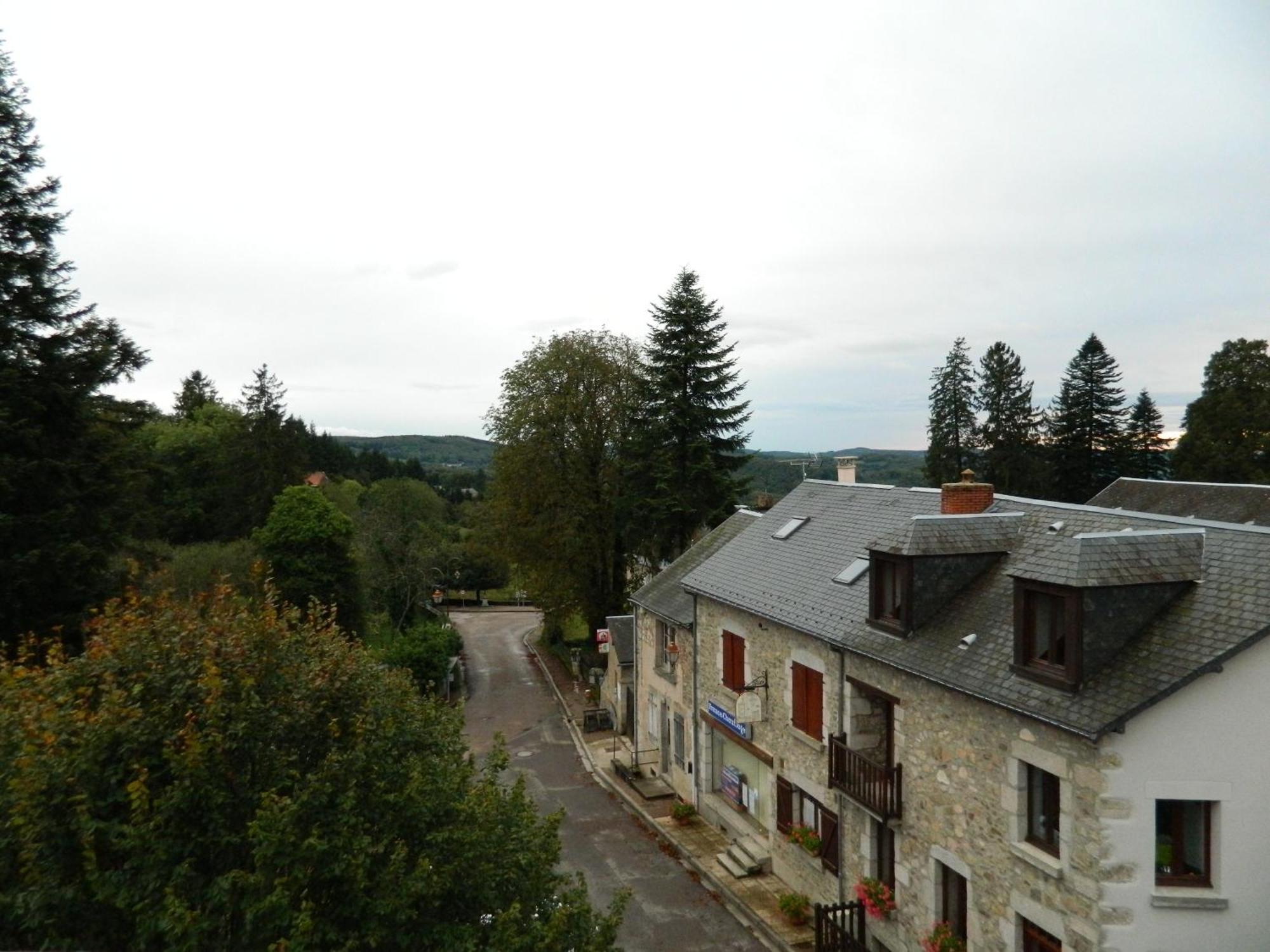 Hotel Le Lion D'Or Ouroux-en-Morvan Esterno foto