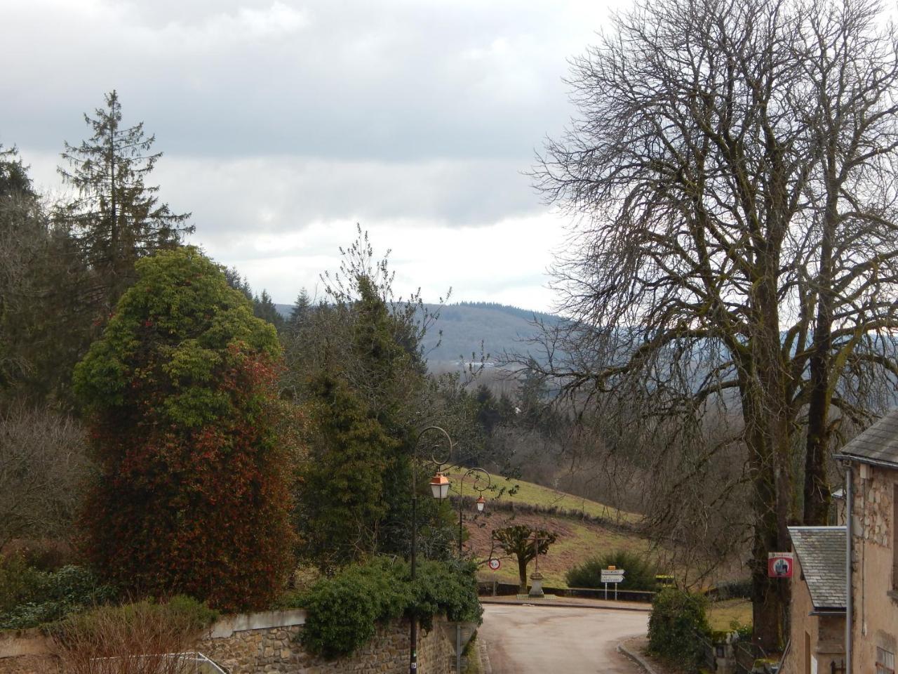 Hotel Le Lion D'Or Ouroux-en-Morvan Esterno foto